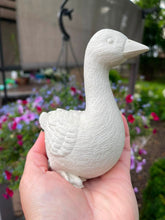 08/08/2026 (11AM) Desk Goose [Saturday]